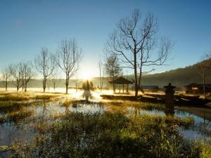 Spot Wisata Bali yang Tidak Mainstream