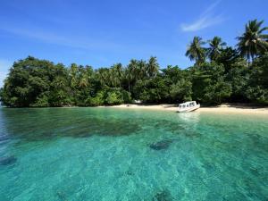 Menengok Indahnya Alam Bawah Laut di Teluk Cenderawasih