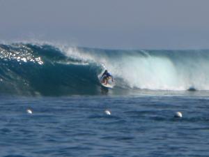 Yuk Intip Magnet Bule Di Nusa Lembongan!